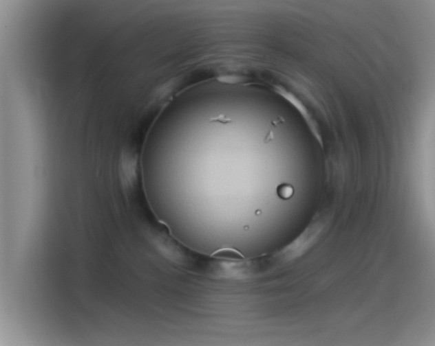 X0000114100188200910131330