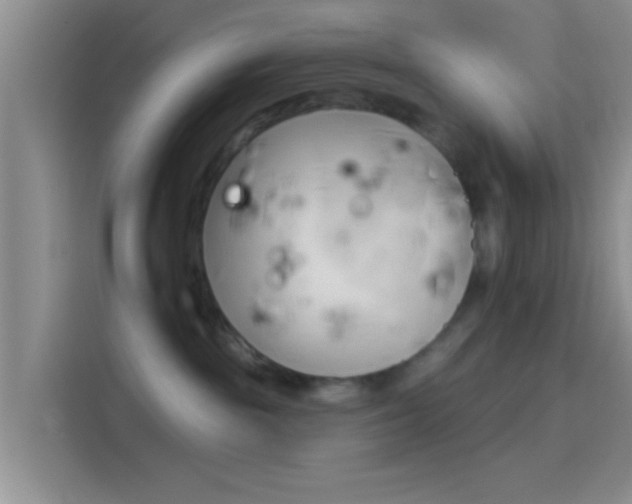 X0000114100189200910131330