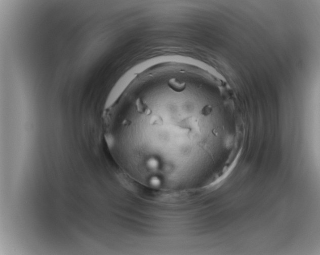 X0000114100190200910131330