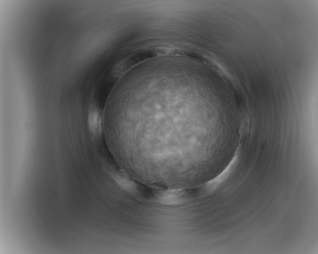 X0000114100191200910131330