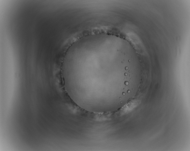 X0000114100192200910131330