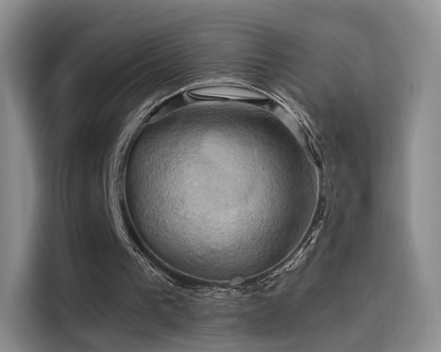 X0000114100193200910131329