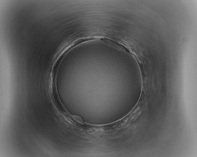 X0000114100194200910131329