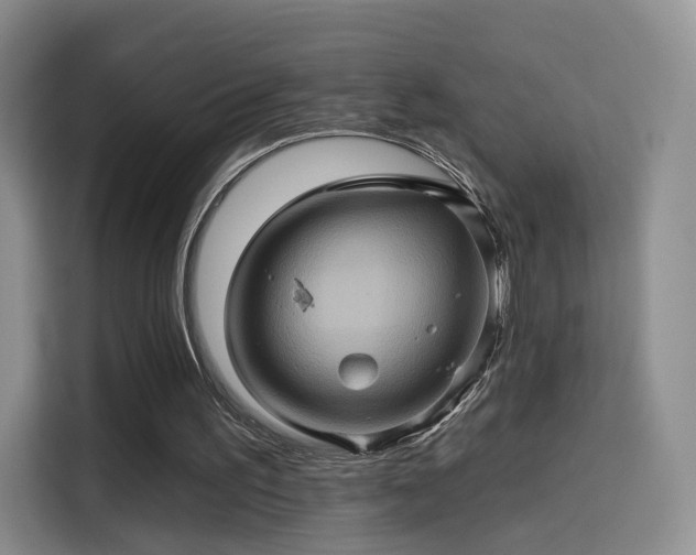 X0000114100195200910131329