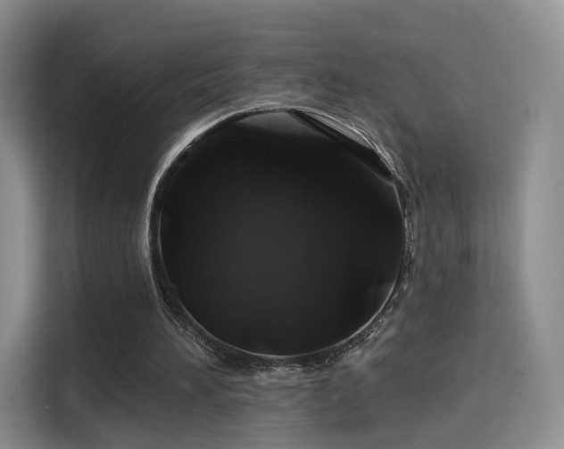 X0000114100196200910131329