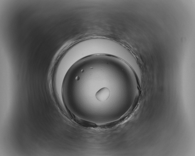 X0000114100197200910131329