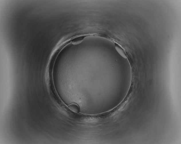 X0000114100198200910131329