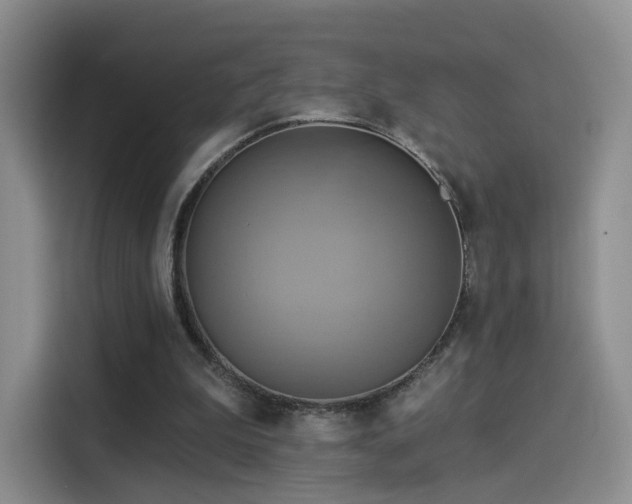 X0000114100199200910131329