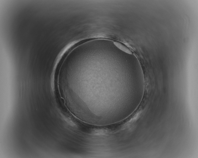 X0000114100200200910131329