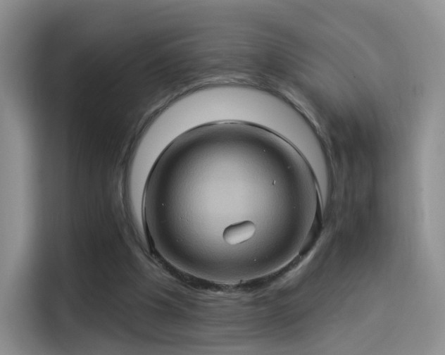 X0000114100201200910131329