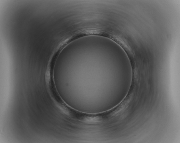 X0000114100202200910131329