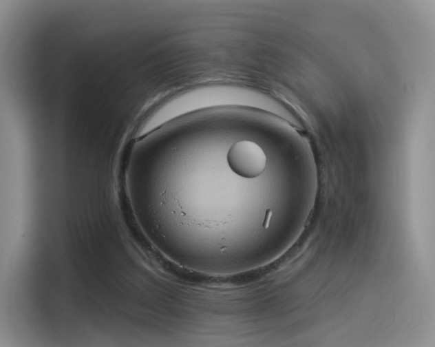 X0000114100203200910131329