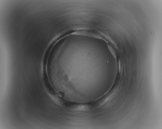 X0000114100204200910131329