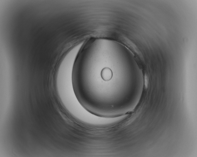 X0000114100205200910131329