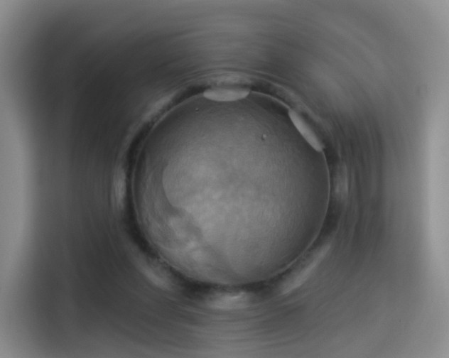 X0000114100206200910131329