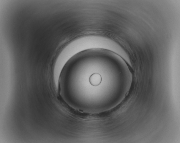 X0000114100207200910131329