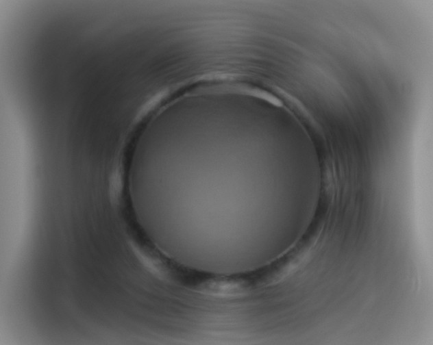 X0000114100208200910131329