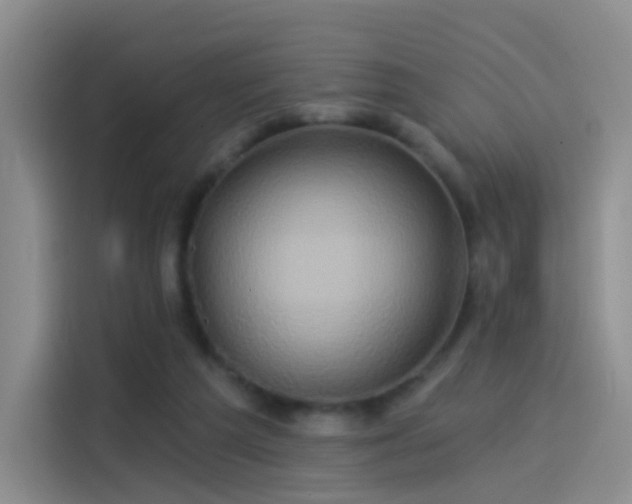 X0000114100209200910131329