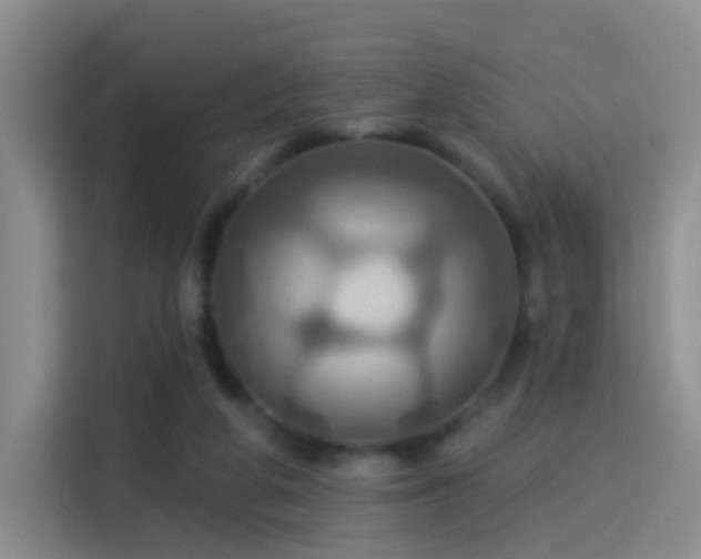 X0000114100210200910131329