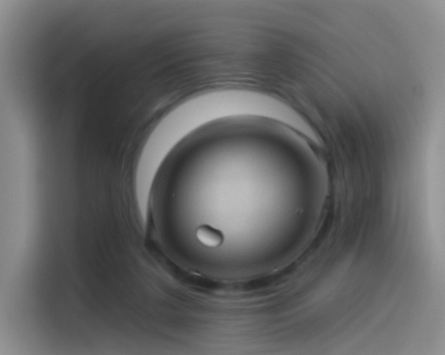 X0000114100211200910131329