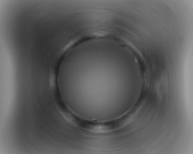 X0000114100212200910131329