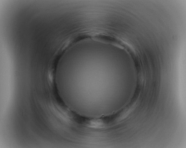 X0000114100214200910131329