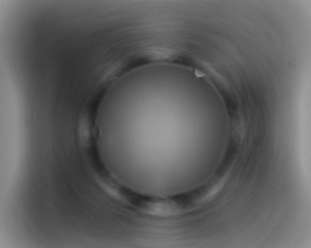 X0000114100215200910131329