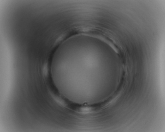 X0000114100216200910131329