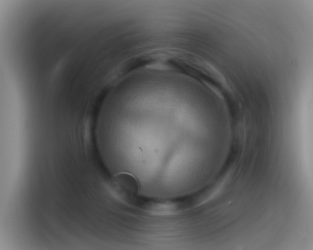 X0000114100217200910131329