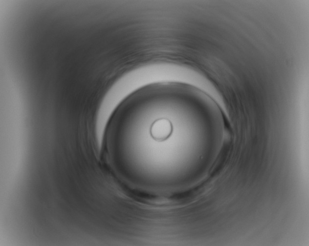 X0000114100219200910131329