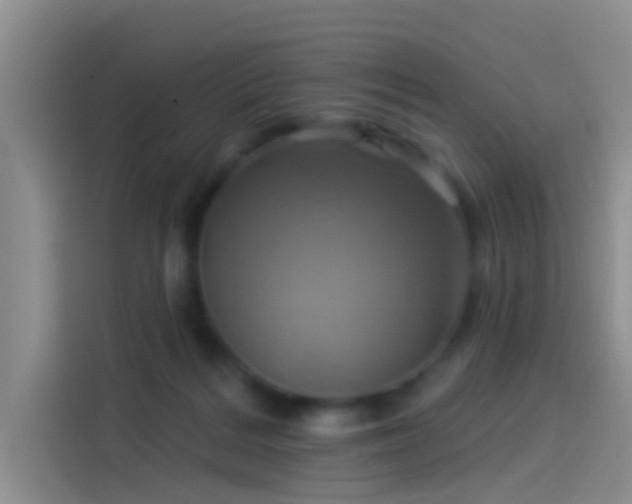 X0000114100220200910131329