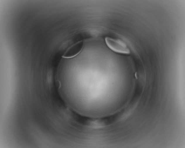 X0000114100221200910131329