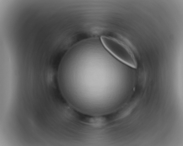 X0000114100225200910131329