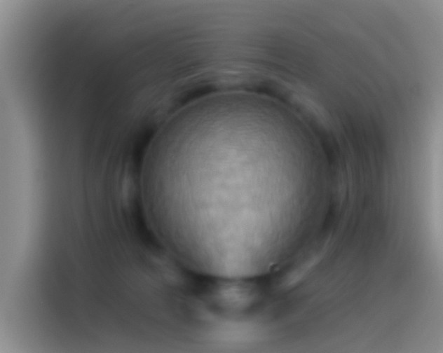 X0000114100226200910131329