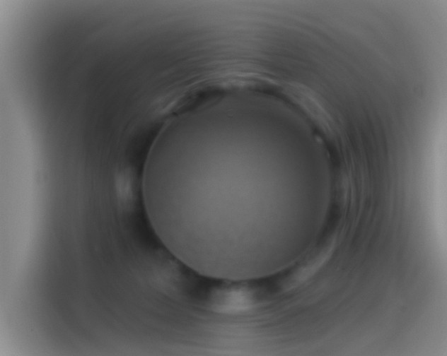 X0000114100228200910131329