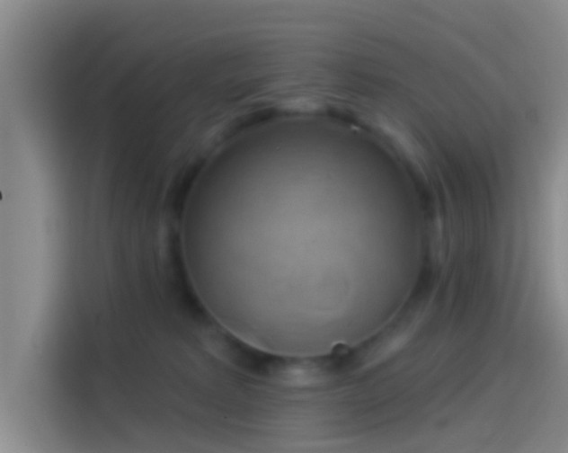 X0000114100229200910131329