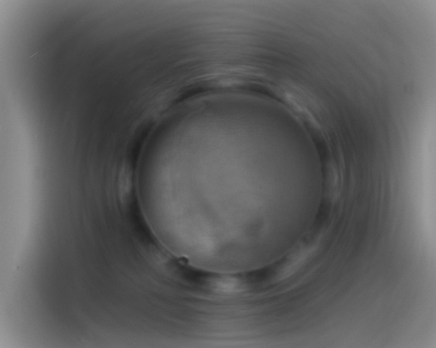 X0000114100230200910131329