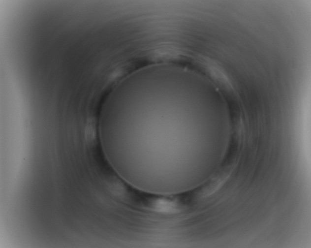 X0000114100232200910131329