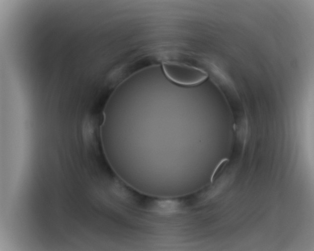 X0000114100233200910131329