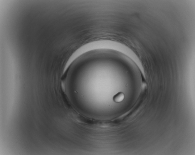 X0000114100235200910131328