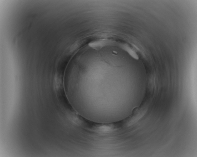 X0000114100236200910131328