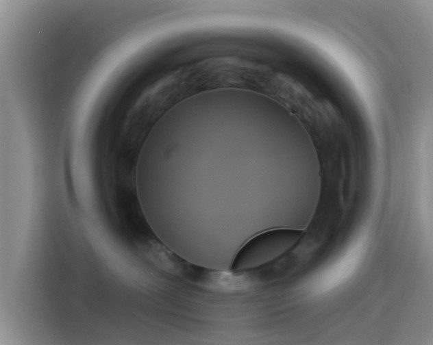 X0000114100239200910131328