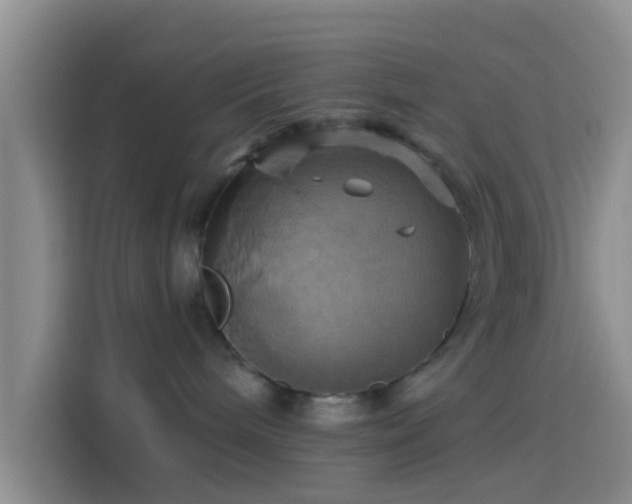 X0000114100240200910131328