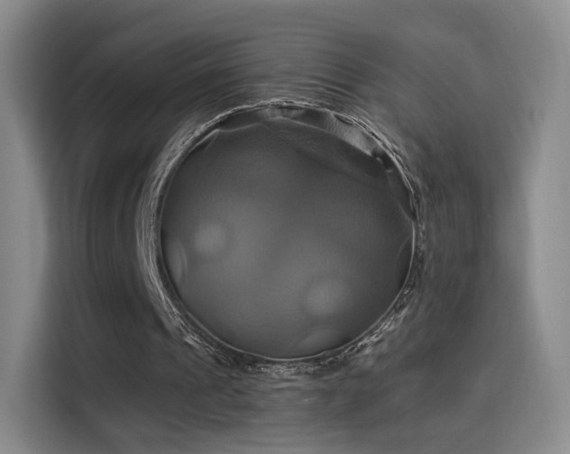 X0000114100241200910131328