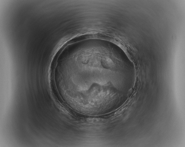 X0000114100242200910131328