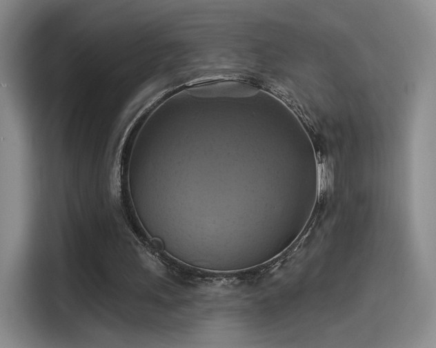 X0000114100243200910131328