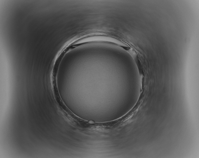 X0000114100244200910131328