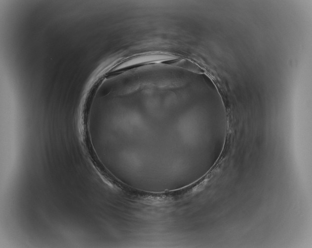 X0000114100245200910131328