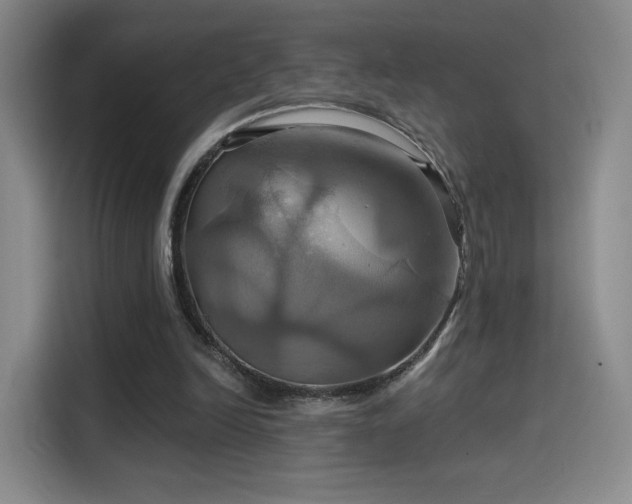 X0000114100246200910131328