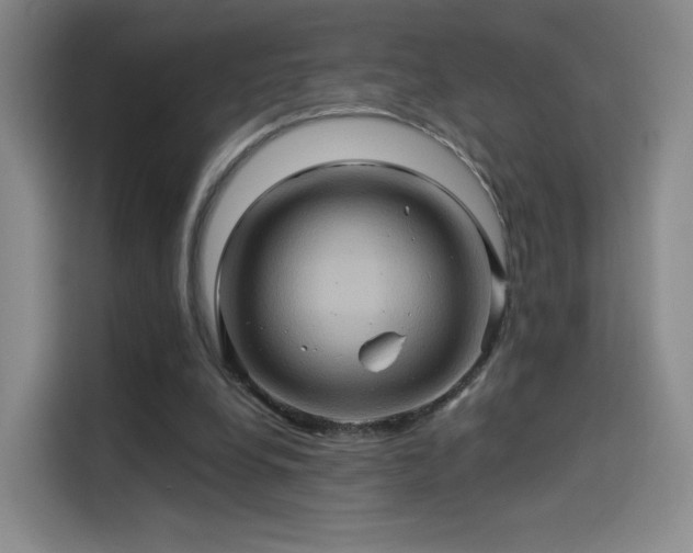 X0000114100248200910131328